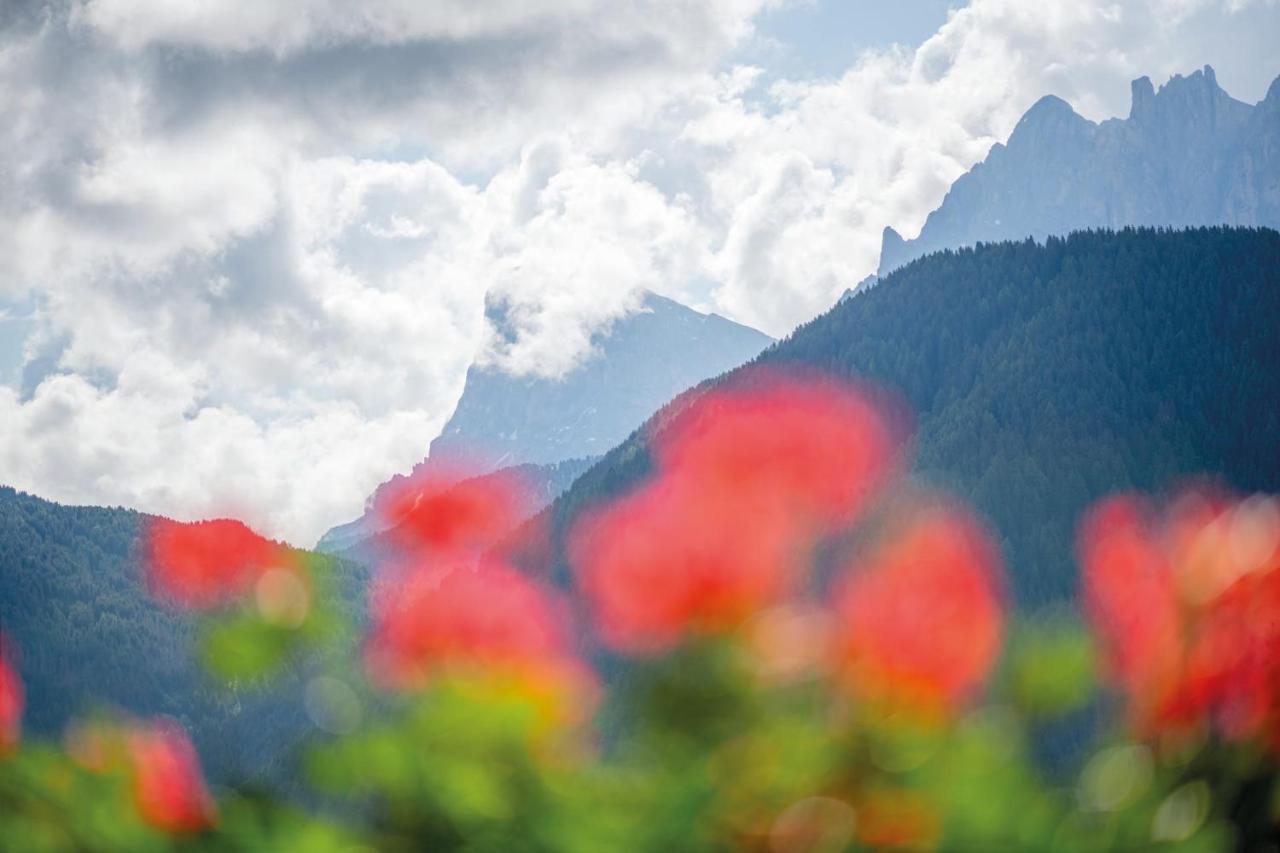 Mountain Residence Alpenhof - Company Hotel Alpenhof Kg Sas Der Gasser Renate Brixen Buitenkant foto